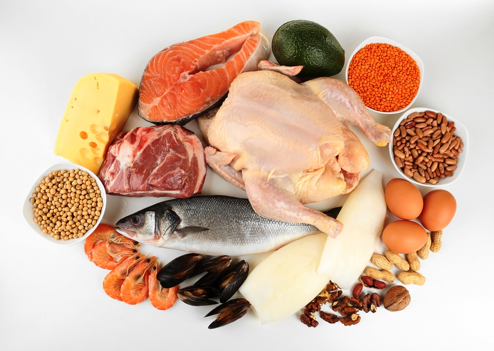 نکات مهم در انتخاب تأمین‌کننده پروتئین‌های باکیفیت